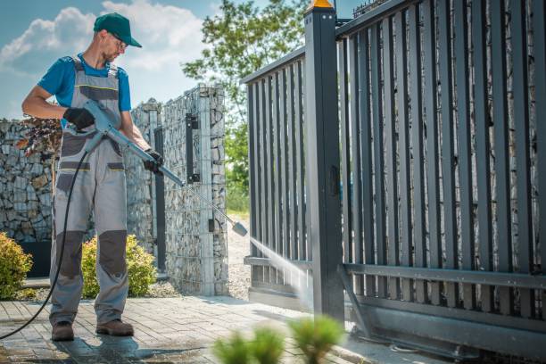 Best Spring Cleaning  in Colfax, IL
